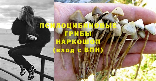 трава Абдулино