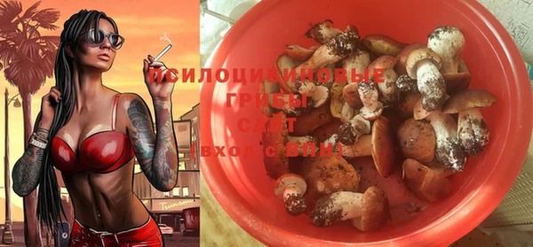 трава Абдулино