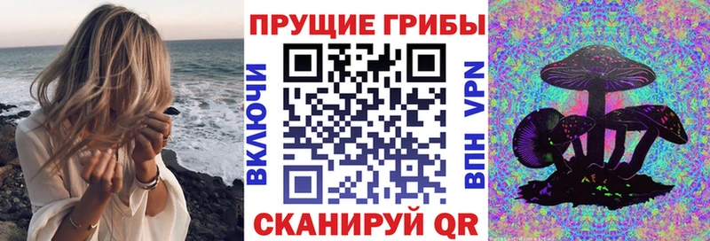 как найти закладки  Нижняя Тура  mega ONION  Галлюциногенные грибы ЛСД 